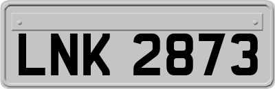 LNK2873