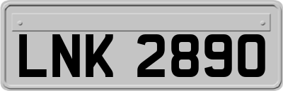 LNK2890