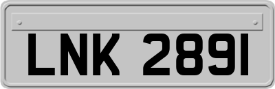 LNK2891