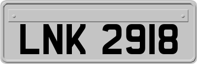 LNK2918