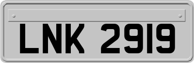 LNK2919