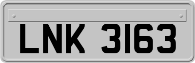 LNK3163