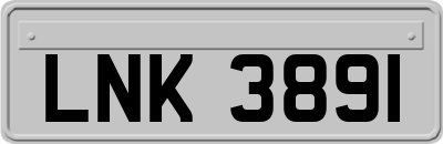 LNK3891