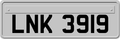 LNK3919