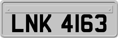 LNK4163