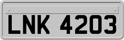 LNK4203