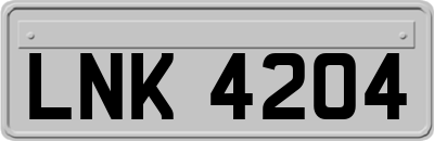 LNK4204