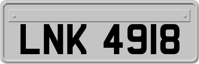 LNK4918