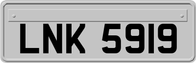 LNK5919