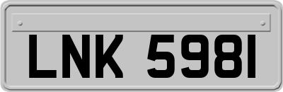 LNK5981