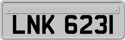 LNK6231