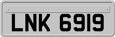 LNK6919