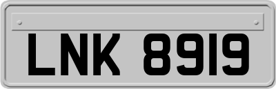 LNK8919