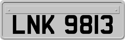 LNK9813