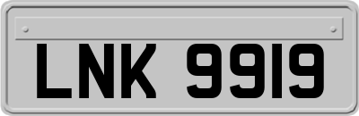 LNK9919