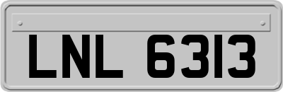LNL6313