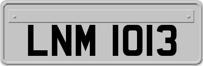 LNM1013