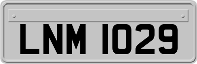 LNM1029