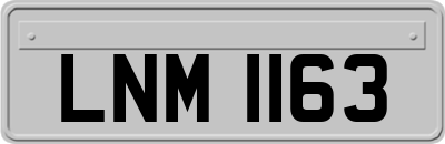 LNM1163