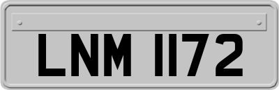 LNM1172