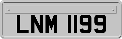 LNM1199