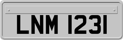 LNM1231