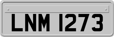 LNM1273