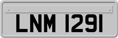 LNM1291