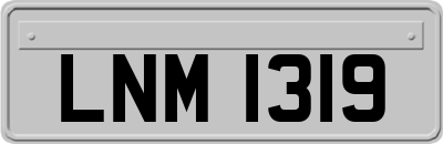 LNM1319
