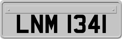 LNM1341