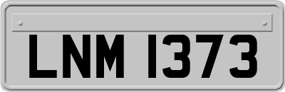 LNM1373