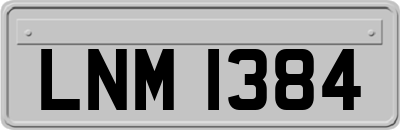LNM1384