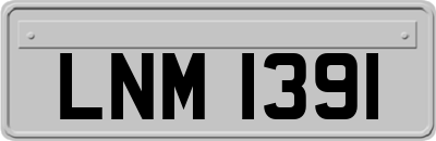 LNM1391