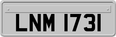 LNM1731