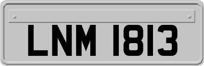 LNM1813