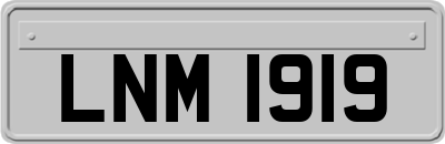 LNM1919