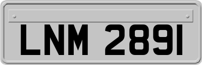 LNM2891