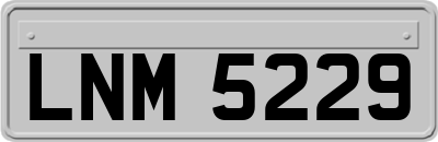 LNM5229