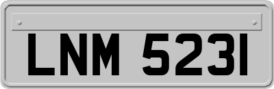 LNM5231
