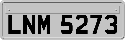 LNM5273