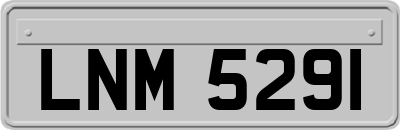 LNM5291