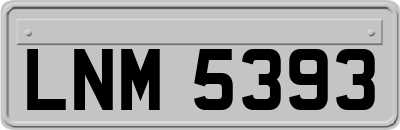 LNM5393
