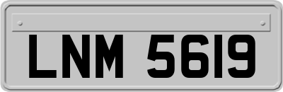 LNM5619