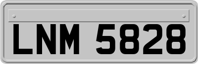 LNM5828