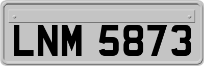 LNM5873