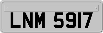 LNM5917