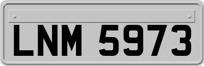 LNM5973
