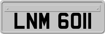 LNM6011