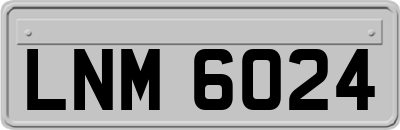 LNM6024