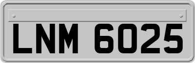 LNM6025